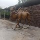 热门玻璃钢骆驼雕塑图