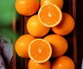 自贡赣南脐橙价格多少？
