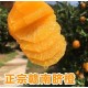 蓟县赣南脐橙一件代发产品图