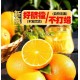 松江赣南脐橙产品图