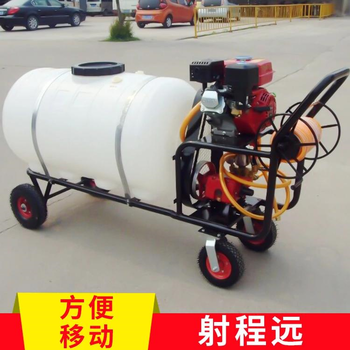 安徽高壓噴霧器多少錢手推式高壓打藥機