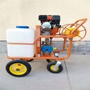 重慶小型高壓噴霧器多少錢一臺(tái)噴霧器
