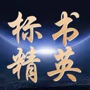 濮陽(yáng)服務(wù)類投標(biāo)文件標(biāo)書代寫報(bào)名開(kāi)標(biāo)上傳