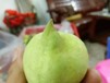 興業縣水果鷹嘴桃