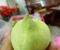 长洲区鹰嘴桃多少钱一斤