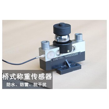 新蔡電子汽車衡SCS-100噸地磅數字式地磅