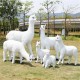 上海新款玻璃钢仿真羊驼雕塑样例图