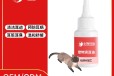 长沙小海药业犬猫专用耳部清洁油代加工OEM贴牌
