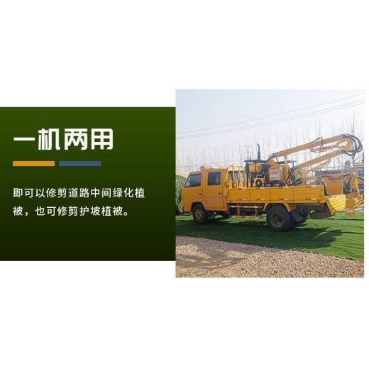 天津河西桥梁工程拆除设备碎草机