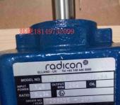 德国RADICON涡轮齿轮电机RADICON工业减速器