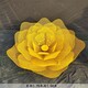山東鏡面不銹鋼抽象花朵雕塑多少錢(qián)展示圖
