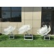 曲阳广场不锈钢抽象花朵雕塑生产厂家样例图
