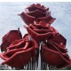 曲阳广场不锈钢抽象花朵雕塑图片样例图