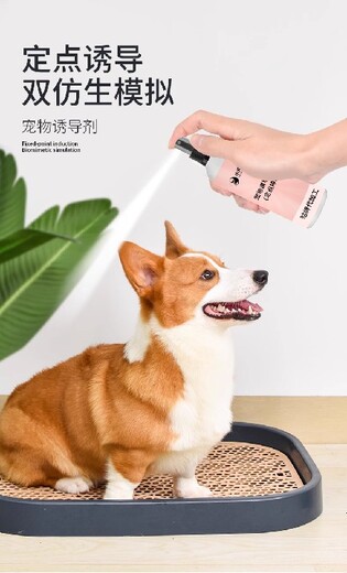 长沙小海犬用训厕液OEM贴牌代加工定制