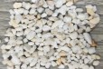 贺州水处理专用食品级石英砂现货供应