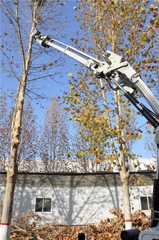 石家莊高空伐木車(chē)聯(lián)系方式