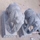 一對石雕大象圖