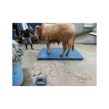 臨潁電子臺秤廠家防水臺秤發貨快