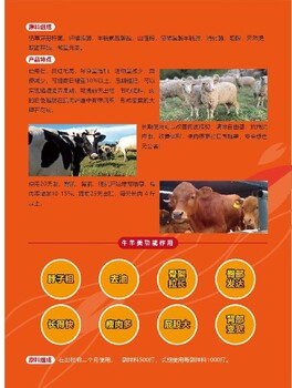 菲腸泰廠家菲腸泰功效功能