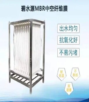 進(jìn)口mbr膜碧水源簾式