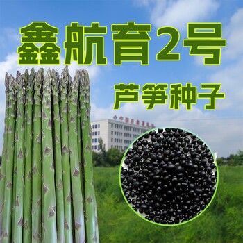 百色鑫航育2號蘆筍種子供應商