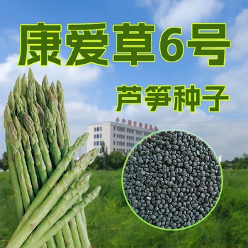 臨沂康愛草6號蘆筍種子價格