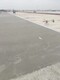 成都機場跑道搶修料附近廠家圖