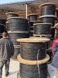 图片0