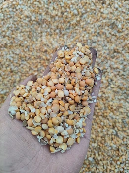 黑河發(fā)酵大豆批發(fā)價(jià)