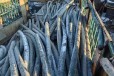 博尔塔拉钢芯铝绞线回收厂家,电缆回收公司