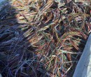 伊春电线电缆回收公司,架空铝线回收图片