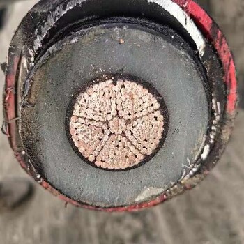 焦作電力電纜回收聯(lián)系方式,哪里回收電纜