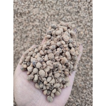 锦州发酵大豆有机肥