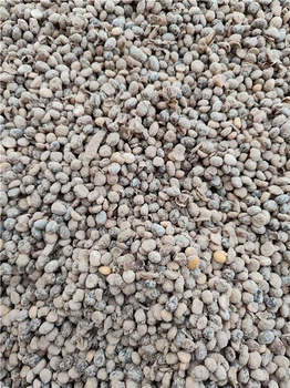 黑河發(fā)酵大豆批發(fā)價(jià)