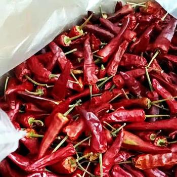 福建辣椒王有什么特點(diǎn)鹵制品專用北京全國(guó)發(fā)貨