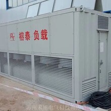 廣東河源各類型負載箱出租廠家圖片