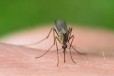 药效检测驱避剂检测驱蚊效果测试