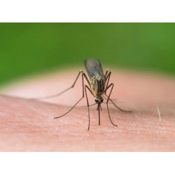 驱蚊产品测试药效检测农药药效试验报告