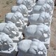 石象雕塑圖