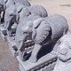 大理石象雕塑圖