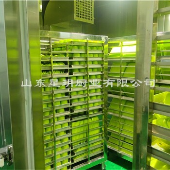 餐盒消毒庫熱風(fēng)循環(huán)消毒