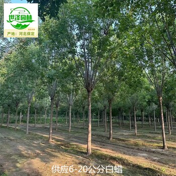 酒泉白蠟廠家批發(fā)