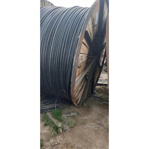 天津二手电缆回收价格，电力电缆收购