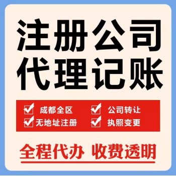 崇州科技公司税务筹划公司