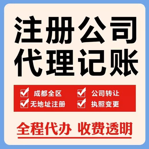 泸州代办业务公司有哪些公司注册代理记账纳税筹划