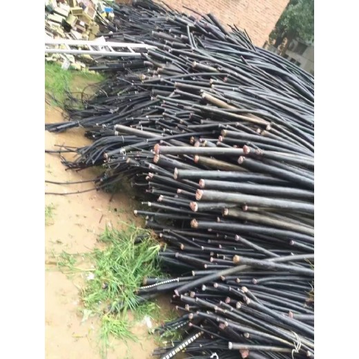 北京阻燃废电缆线回收上门回收