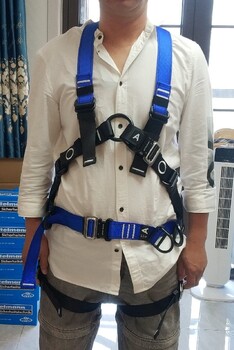 陽江油田版安全帶,安全帶廠家批發