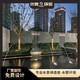 青白江圖