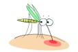 药效检测杀虫剂室内药效试验驱蚊效果测试