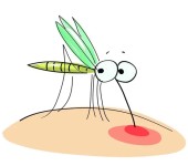 检测单位驱蚊效果试验驱避剂药效评定